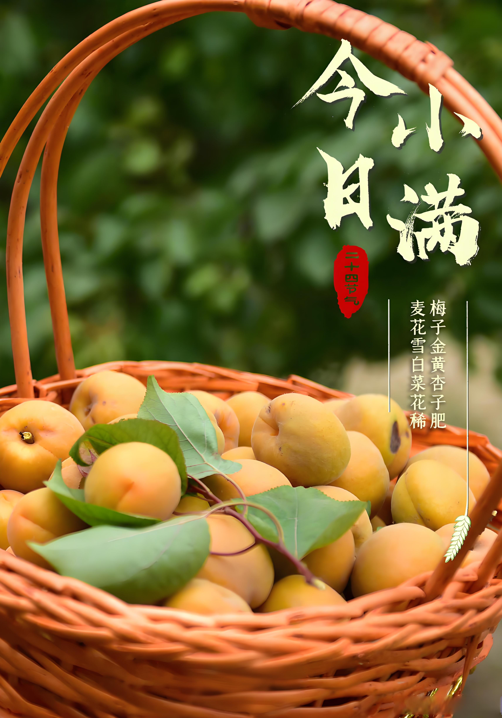 今日小满 降雨增多，户外防水扩音器推荐